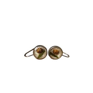 Lady Bug Earrings